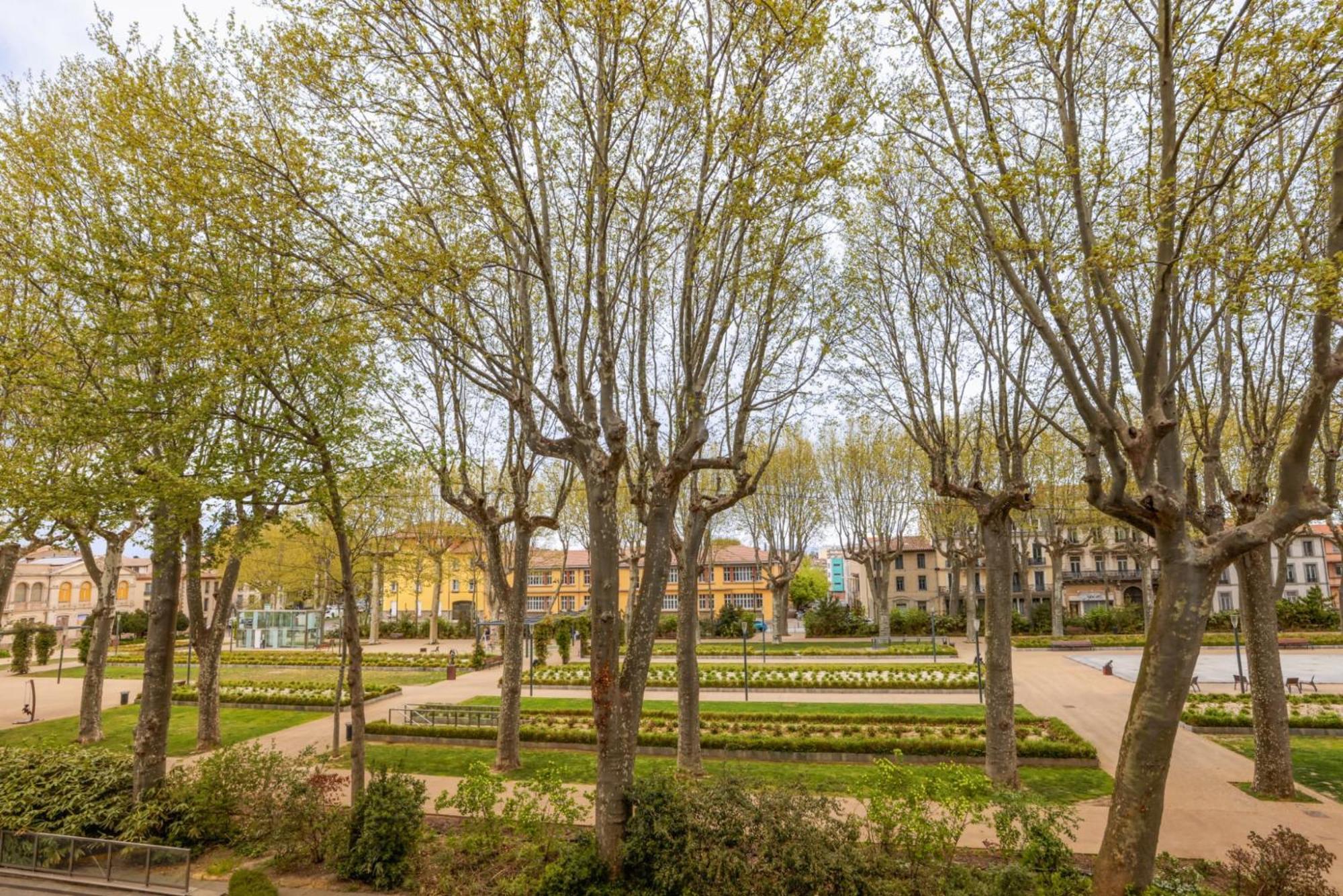 L'Art De Gambetta Conciergeriedamecarcas Apartment Carcassonne Exterior photo